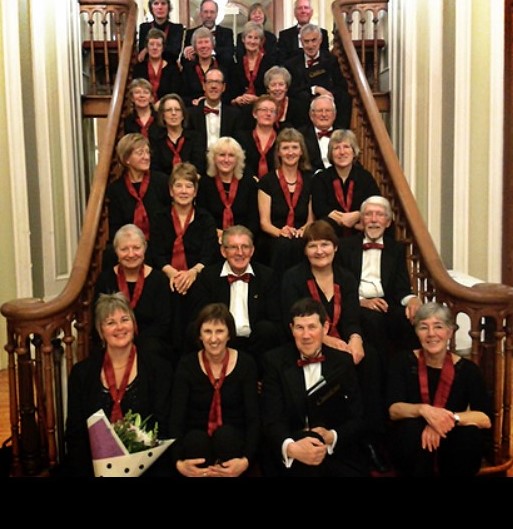 Cantilena choir sitting on a staircase