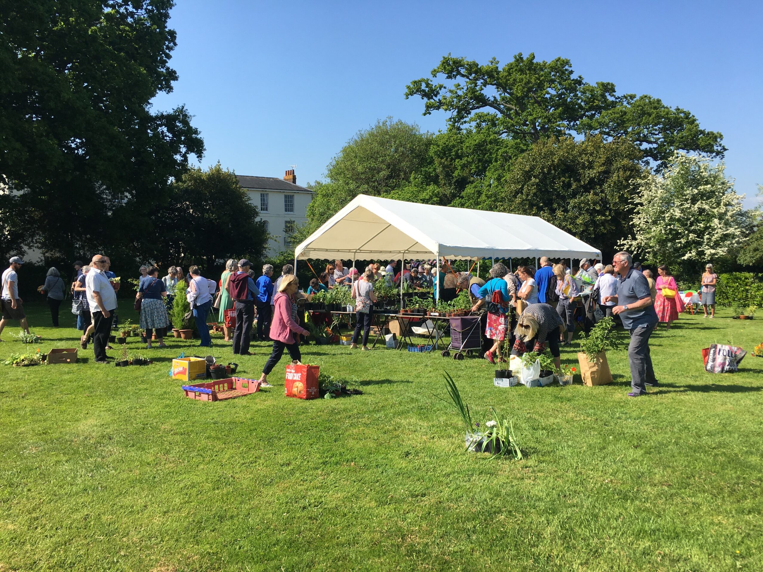 Exeter Friends Plant Sale – Open Gardens