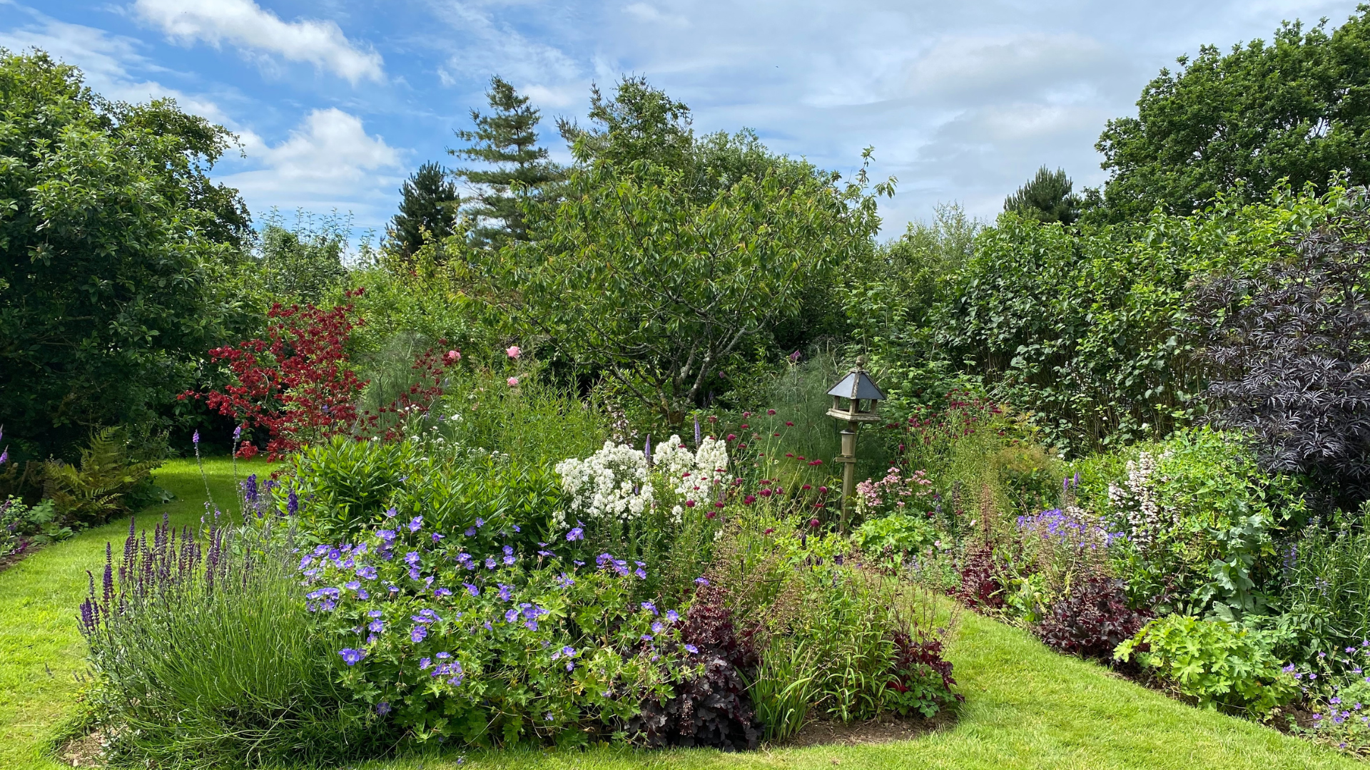 Higher Gate House Farm, Black Dog – Open Gardens