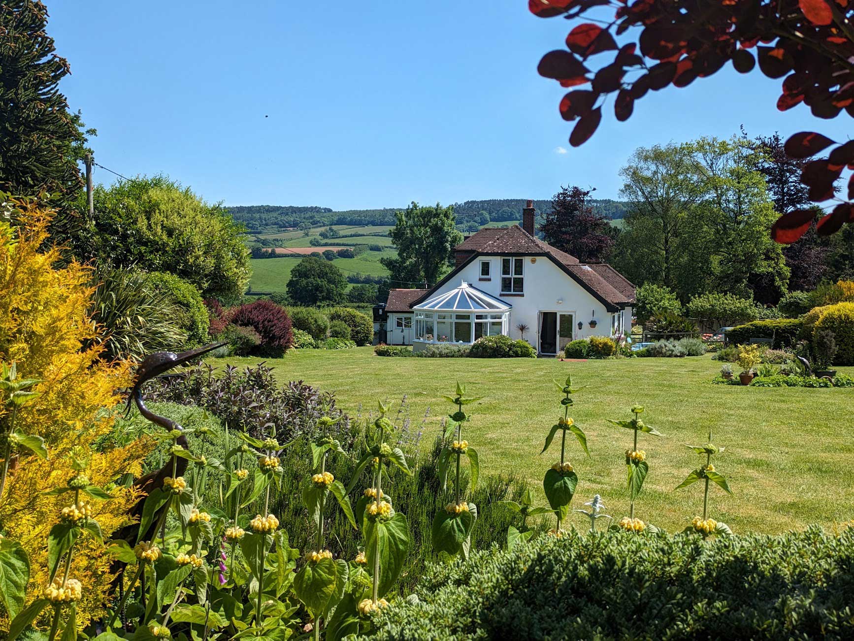 Flower beds to raise funds for hospice beds