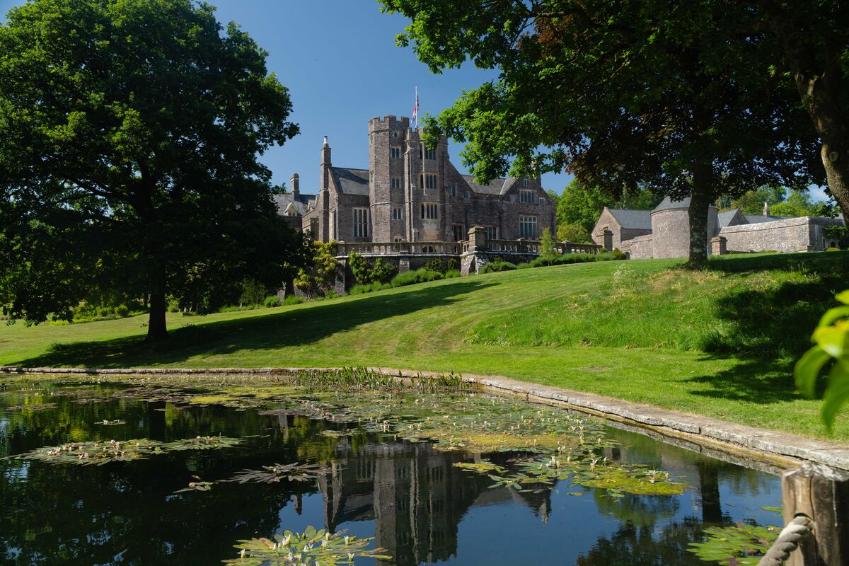 Open Garden Holcombe Court