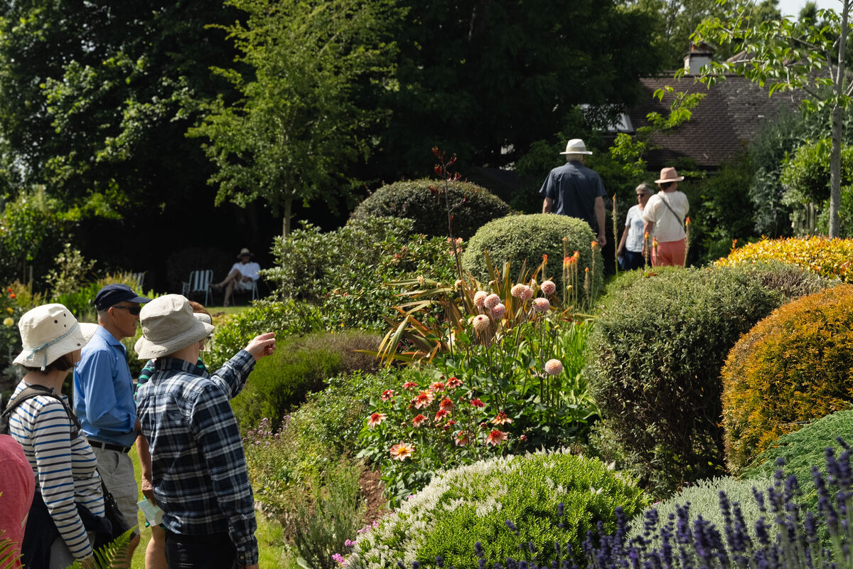 Open Garden