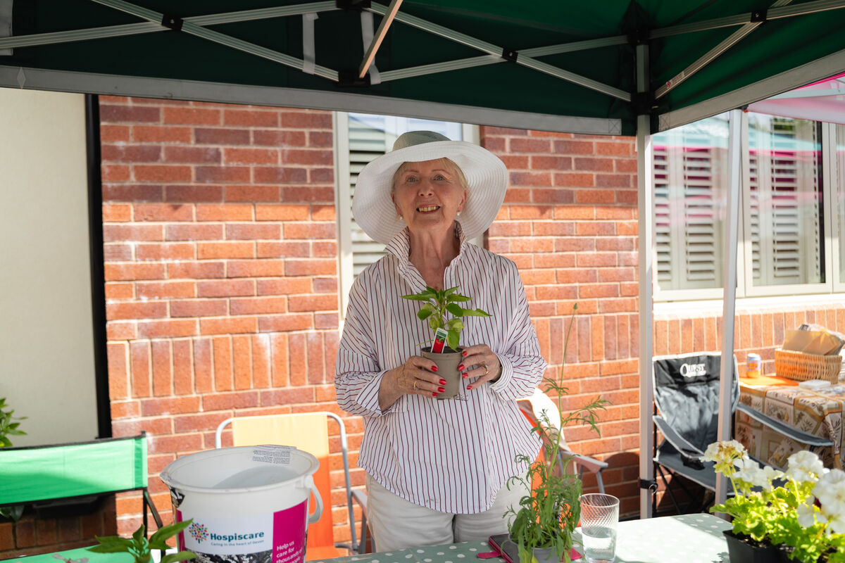 Open Garden Exeter 