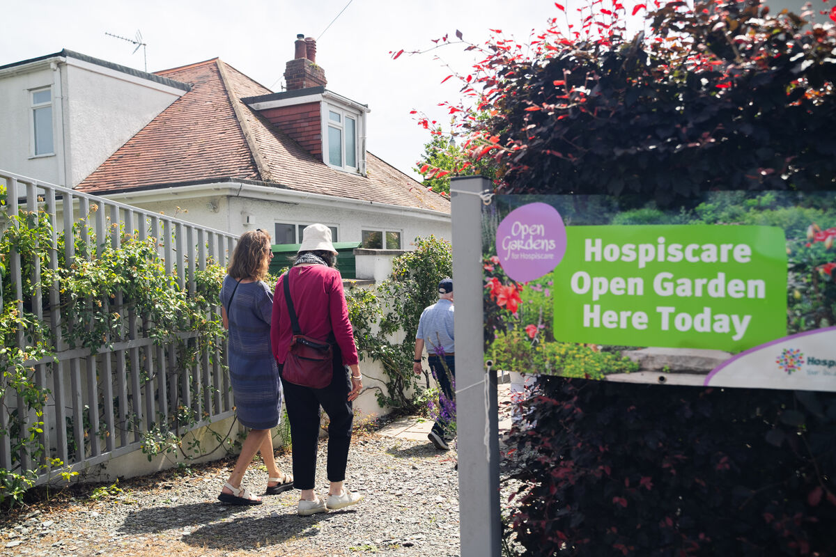 Open Garden Exeter